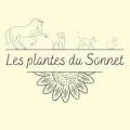 Les plantes du sonnet